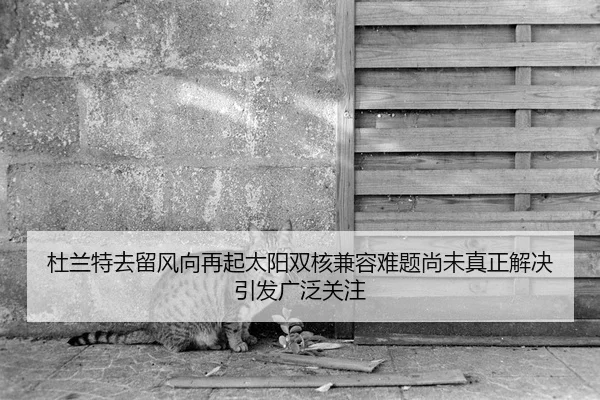 杜兰特去留风向再起太阳双核兼容难题尚未真正解决引发广泛关注