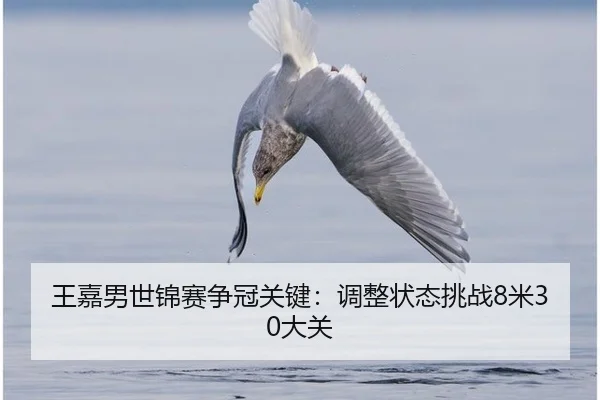 wang-jia-nan-shi-jin-sai-zheng-guan-guan-jian-tiao-zheng-zhuang-tai-tiao-zhan-mi-da-guan-2-937.jpg