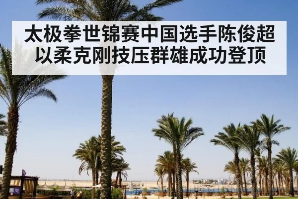太极拳世锦赛中国选手陈俊超以柔克刚技压群雄成功登顶
