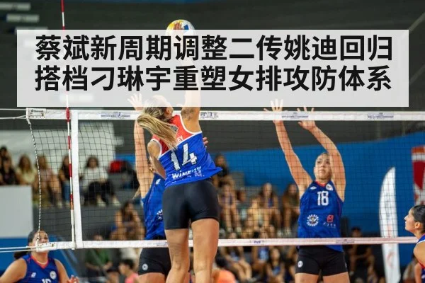 volleyball match