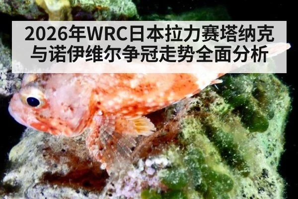 2026年WRC日本拉力赛塔纳克与诺伊维尔争冠走势全面分析